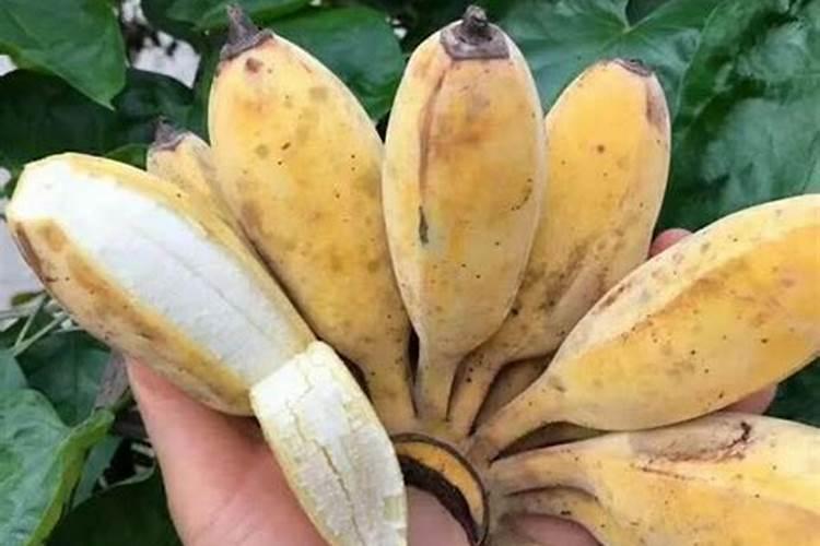 钾肥是什么肥料