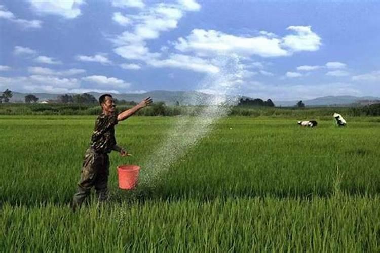 老师您好!柑橘幼树能用含氯的复合肥吗？