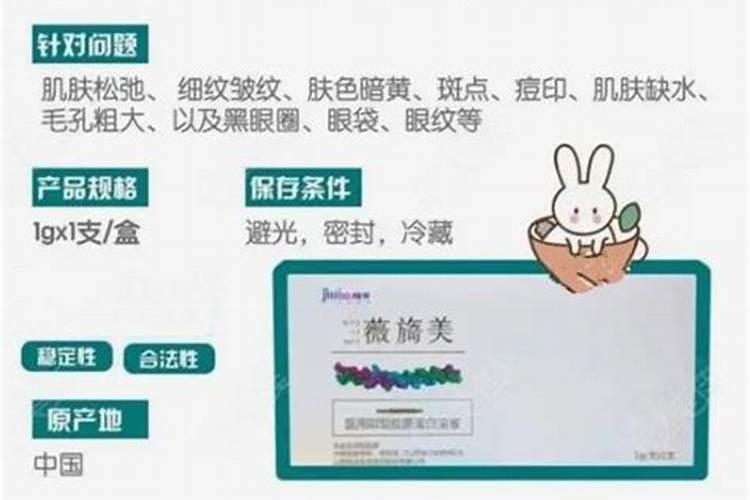 阳台黄瓜种植技术与管理方法