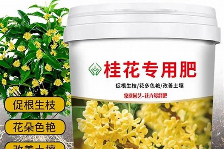 水果辣椒专用肥哪个牌子好