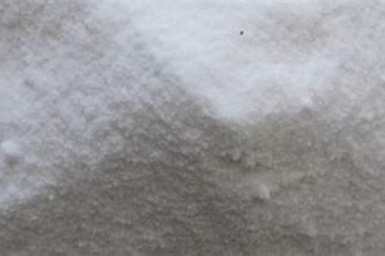 油葵怎么种,种植技术,施肥方法,病虫害防治,增产