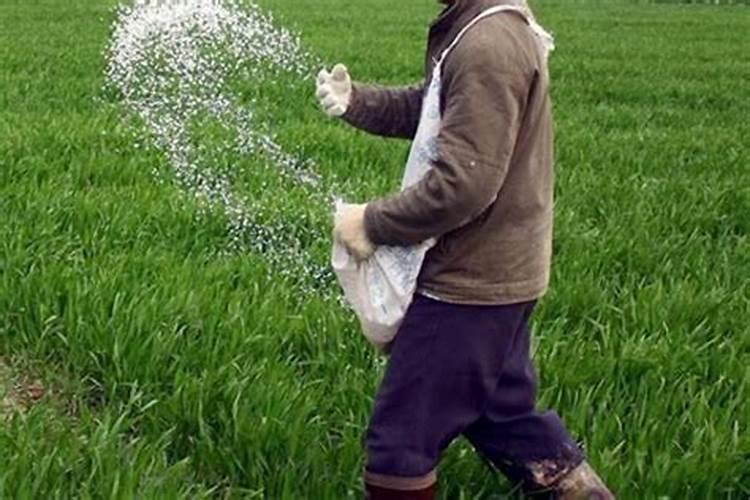 农田径流中的氮、磷主要来源于哪些？