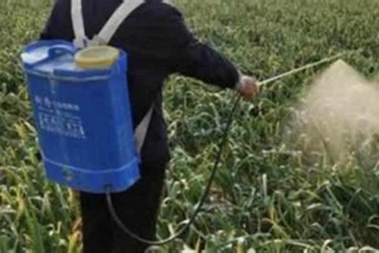 自制钾肥用什么原料