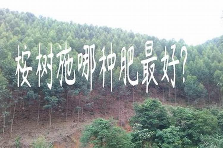 锌肥叶面喷施注意事项