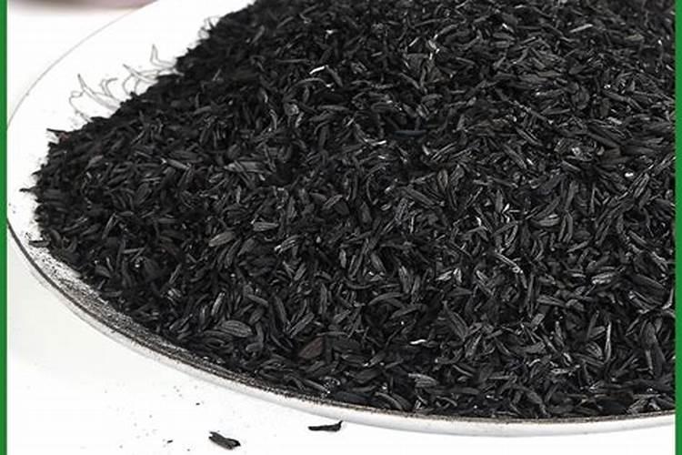 茉莉花怎么种？