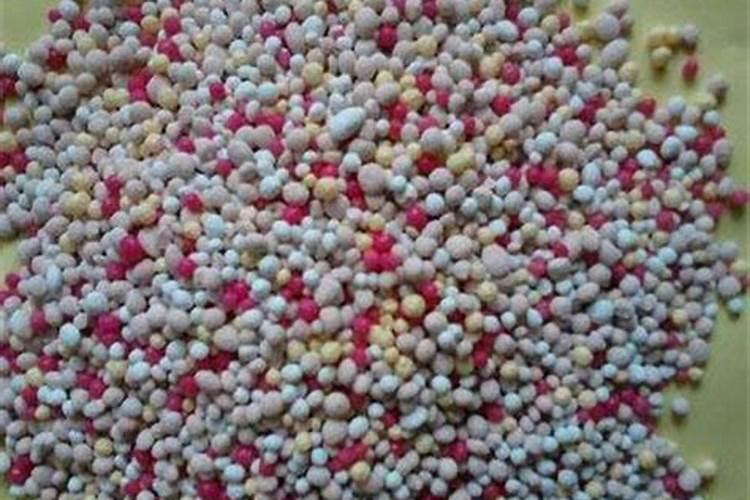 缺少氮肥叶片的症状