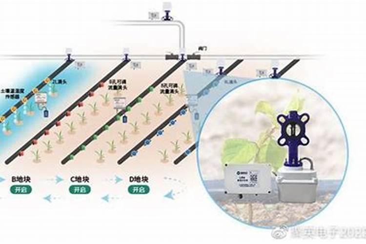 陕西瀚洋惠丰农业科技有限公司生产的颗粒水溶肥追四季豆好吗百度知 ...