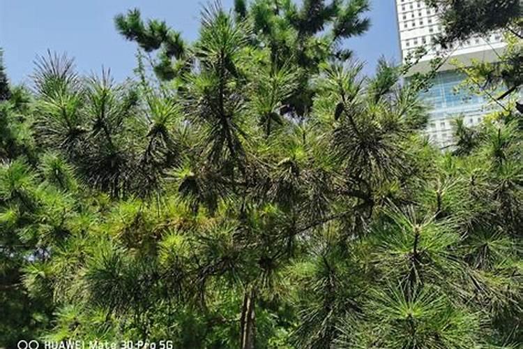 上海多美多金网络科技有限公司是什么平台