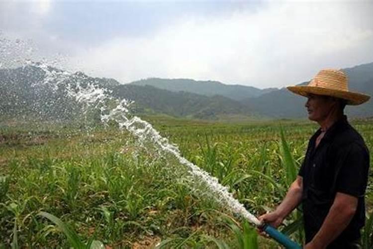 水溶肥下雨天施肥好吗