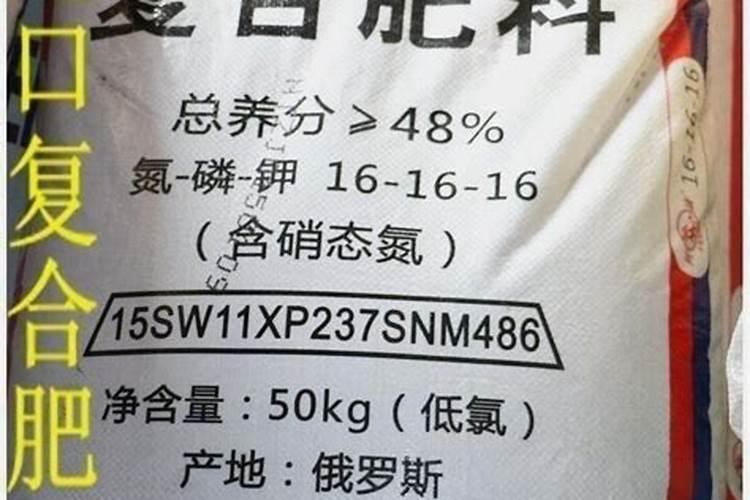 怎么造纸再生纸