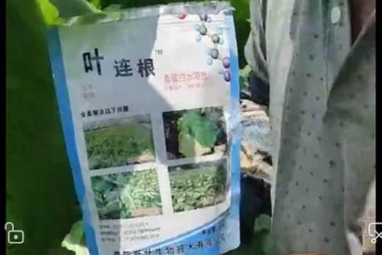 烤烟最好的肥料第一名