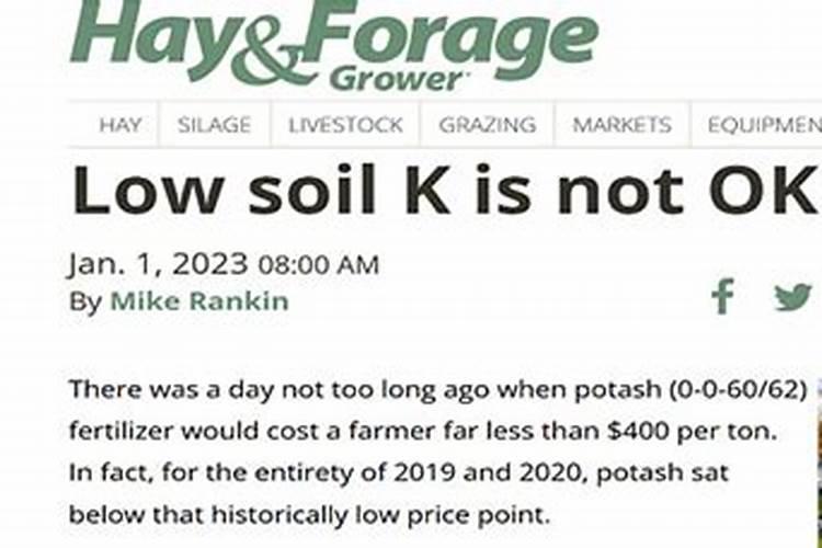 高宏业研发的治理槟榔黄化病靠谱吗？