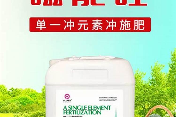 发财树怎么养护用什么肥生根 发财树如何养护用什么肥生根