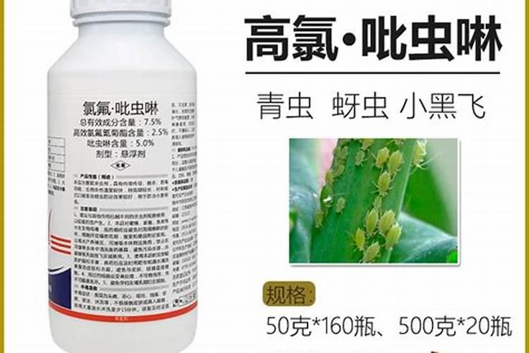 抱子甘蓝对环境条件有什么要求？