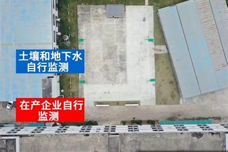 浇大白菜是上午浇还是下午浇好