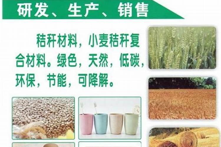 问问文竹发黄浇什么肥水？有谁晓得？