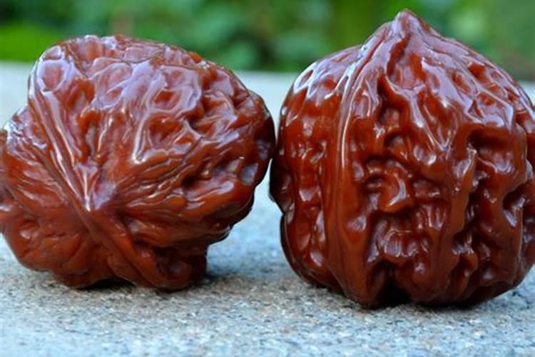 第一年移栽的文玩核桃树需要打药吗