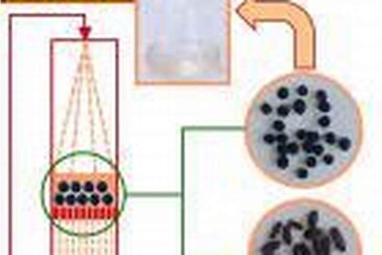 叶面肥什么时候用效果更显著、