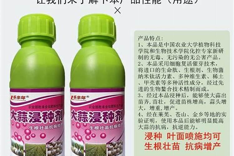 大蒜用什么拌种最好