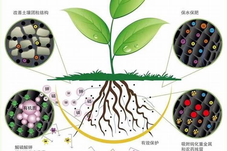 萘乙酸生根剂使用方法