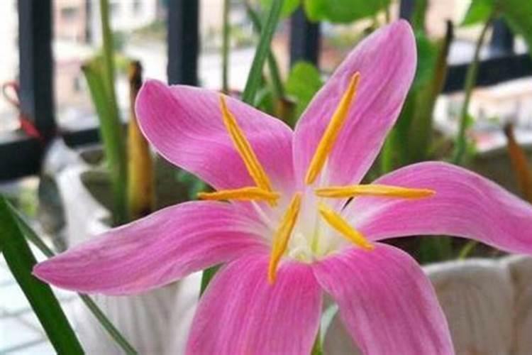 英国纽卡斯尔大学概况及学生的住宿安排