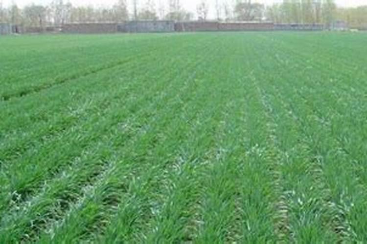 宝月阁和爱玛家是一个公司吗