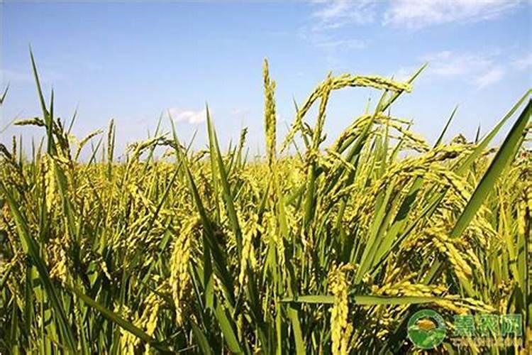 赣州与抚州哪个水质好