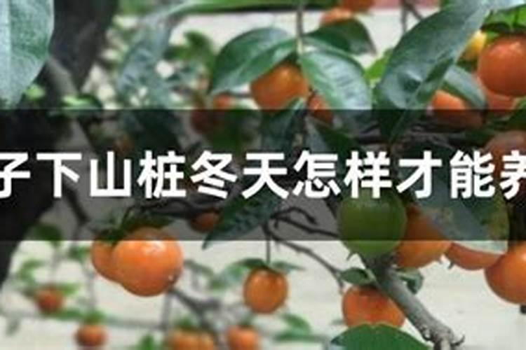 海天酱油生产基地海天酱油的总部在哪里啊？