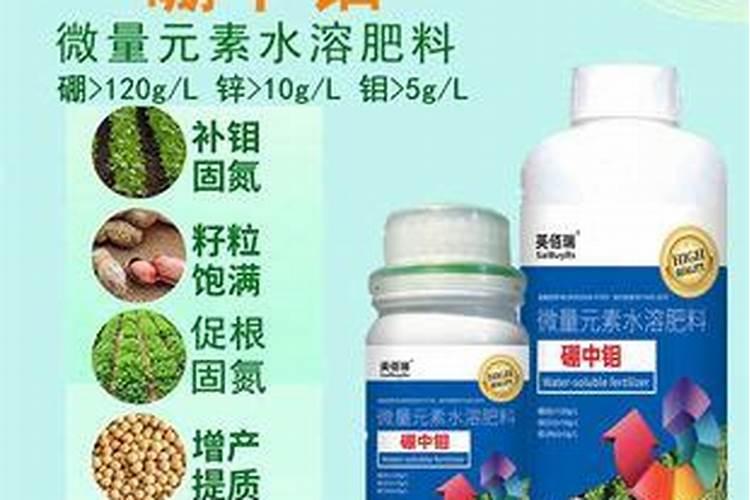 鱼缸里有烂尾鱼,水会变臭吗