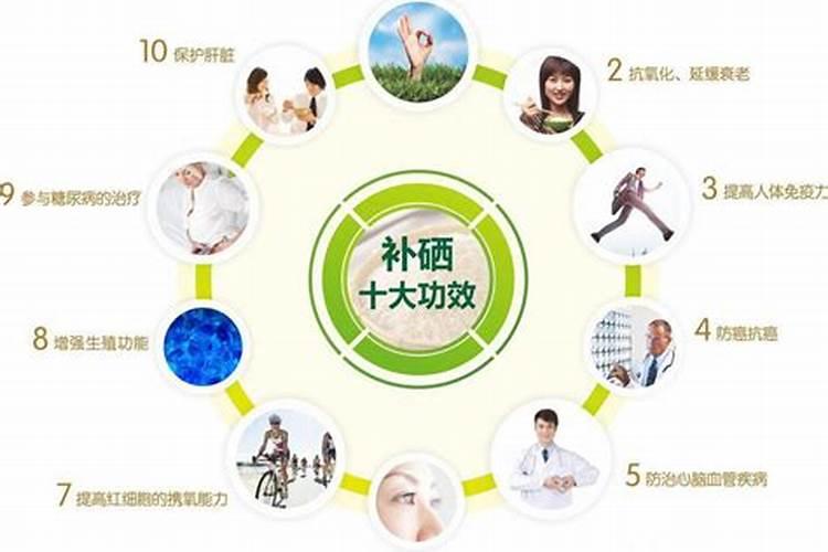 洛阳启禾生态农业科技有限责任公司怎么样？