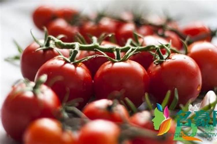 焦位马村有买德农生物钾肥的吗