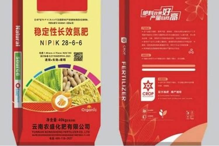 刚移栽的桔子树怎样养护