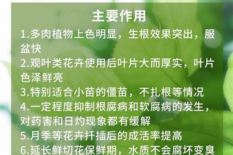 磷肥什么牌子好