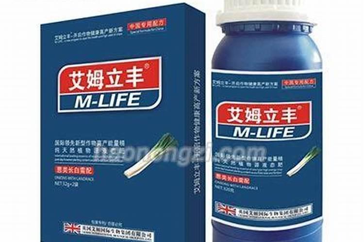 艾姆立丰公司大吗