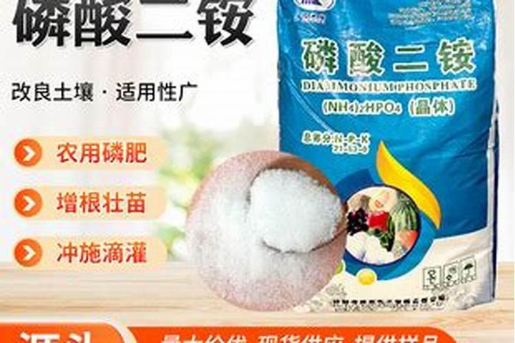 安吉白茶:大数据支撑大产业 一片叶富裕一方人