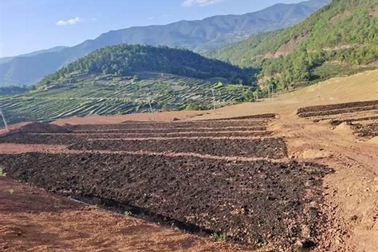 磷肥撒在地表面可以吸收吗