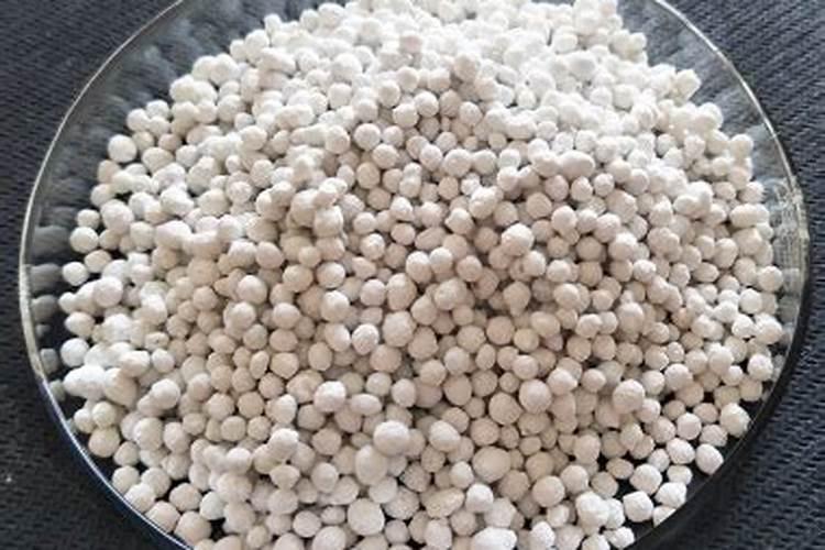 种菜用什么肥料最好