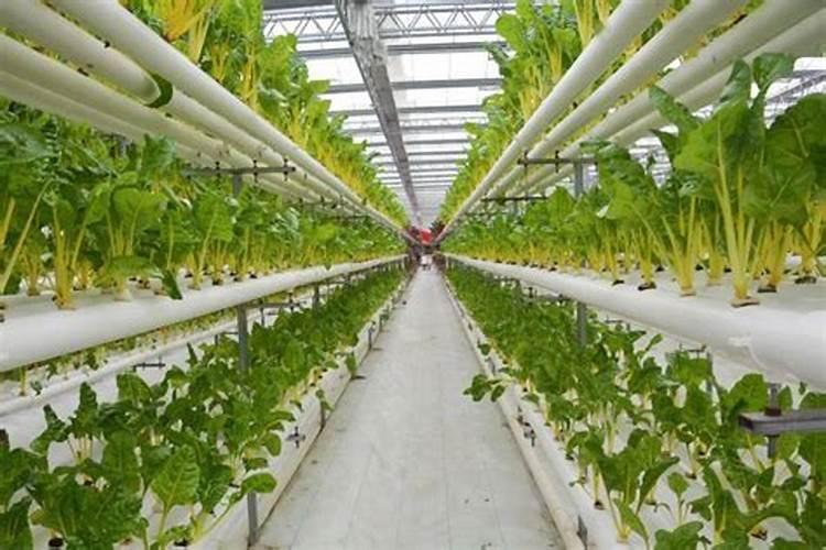 日常生活中哪些物品里面有硅元素