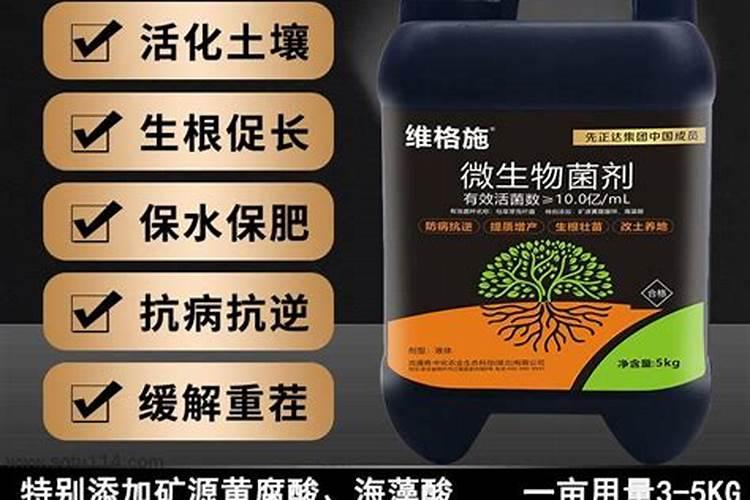 枯草芽孢杆菌能与生物菌肥混用吗
