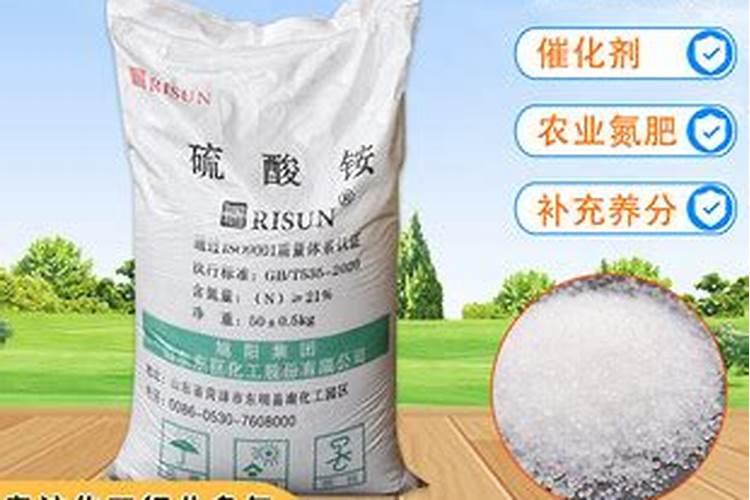 果菜疯子细胞能量剂叶面肥真的是增产之王吗,要把他推广到千家万户手中...