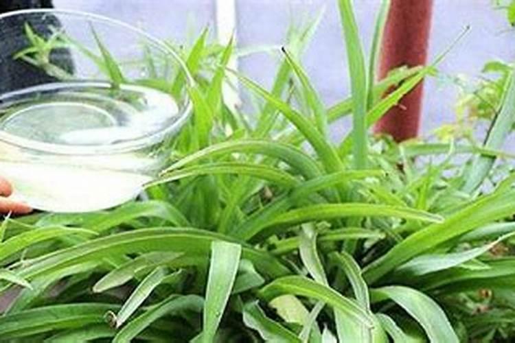 氢氧化铵和氨水的区别