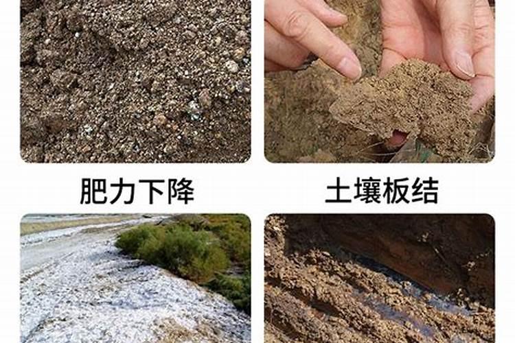 松土精真能松土吗