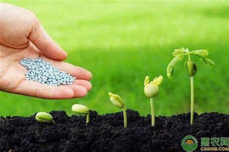 无糖低糖的主食有哪些？