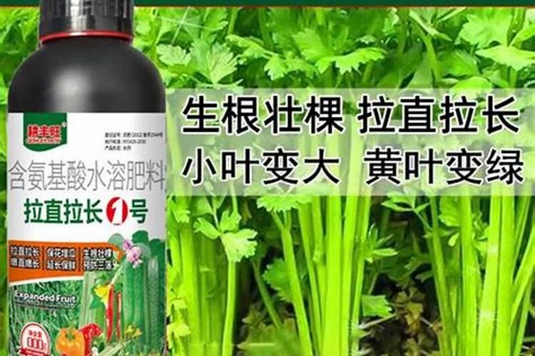 冲施的钙肥有哪些？