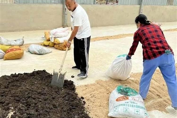 家粪怎么变成水溶肥？