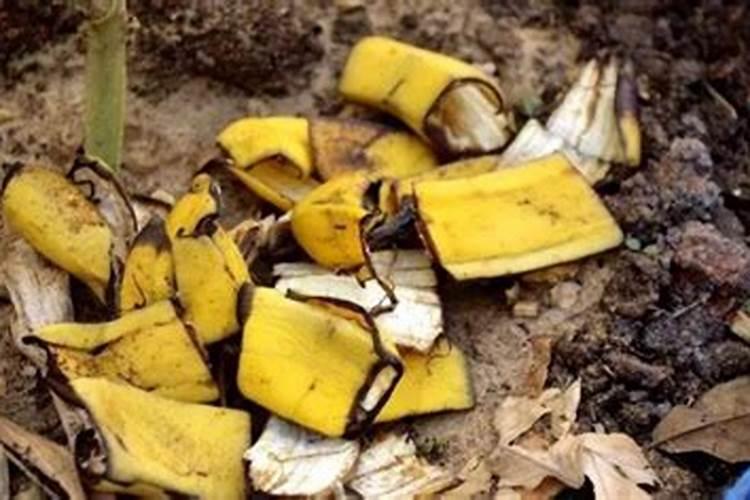 芸苔素使用技巧