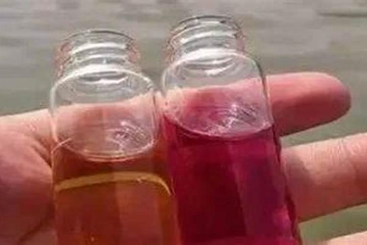 葡萄萌芽期施什么肥葡萄萌芽期施什么肥好