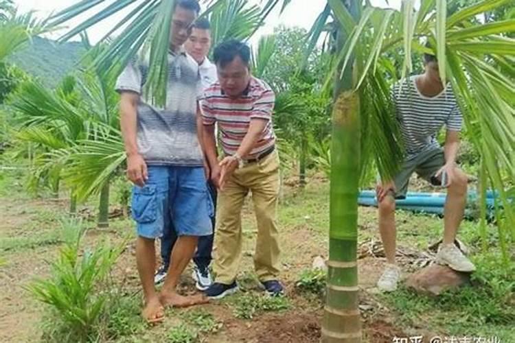 养花要先养根,根系弱植株也会生长不良,做好6点,养出强壮根系