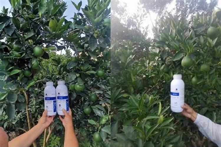 我想用沼液生产水溶肥,都需要哪些设备