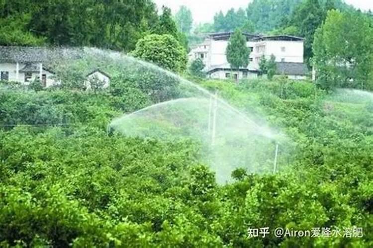 香梨喷施增甜剂能提高甜度吗